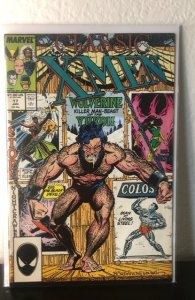 Classic X-Men #17 (1988)