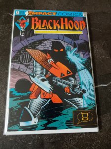 The Black Hood #1 (1991)