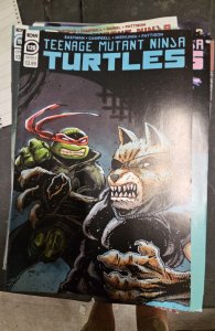 Teenage Mutant Ninja Turtles #120 Cover B