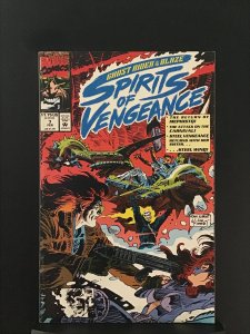 Ghost Rider/Blaze: Spirits of Vengeance #7 (1993)