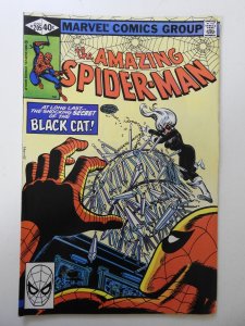The Amazing Spider-Man #205 (1980) FN+ Condition!