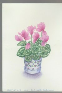 PINK FLOWERS in Decorative Pot 7x10 #1713 Greeting Card Original Art