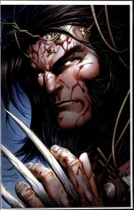Wolverine #34 (2023) Wolverine
