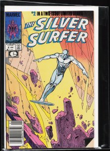 The Silver Surfer #2 (1989) Silver Surfer