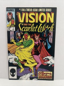 The Vision And The Scarlet Witch Volume #1 Origins Retold