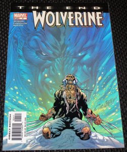 Wolverine: The End #4 (2004)