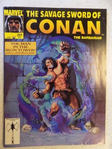 The Savage Sword of Conan #201 (1992)