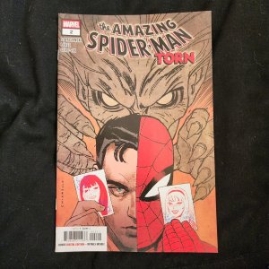 Amazing Spider-Man: Torn #2 (2026) Spider-Man