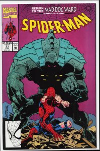 Spider-Man #31 (1993) Spider-Man