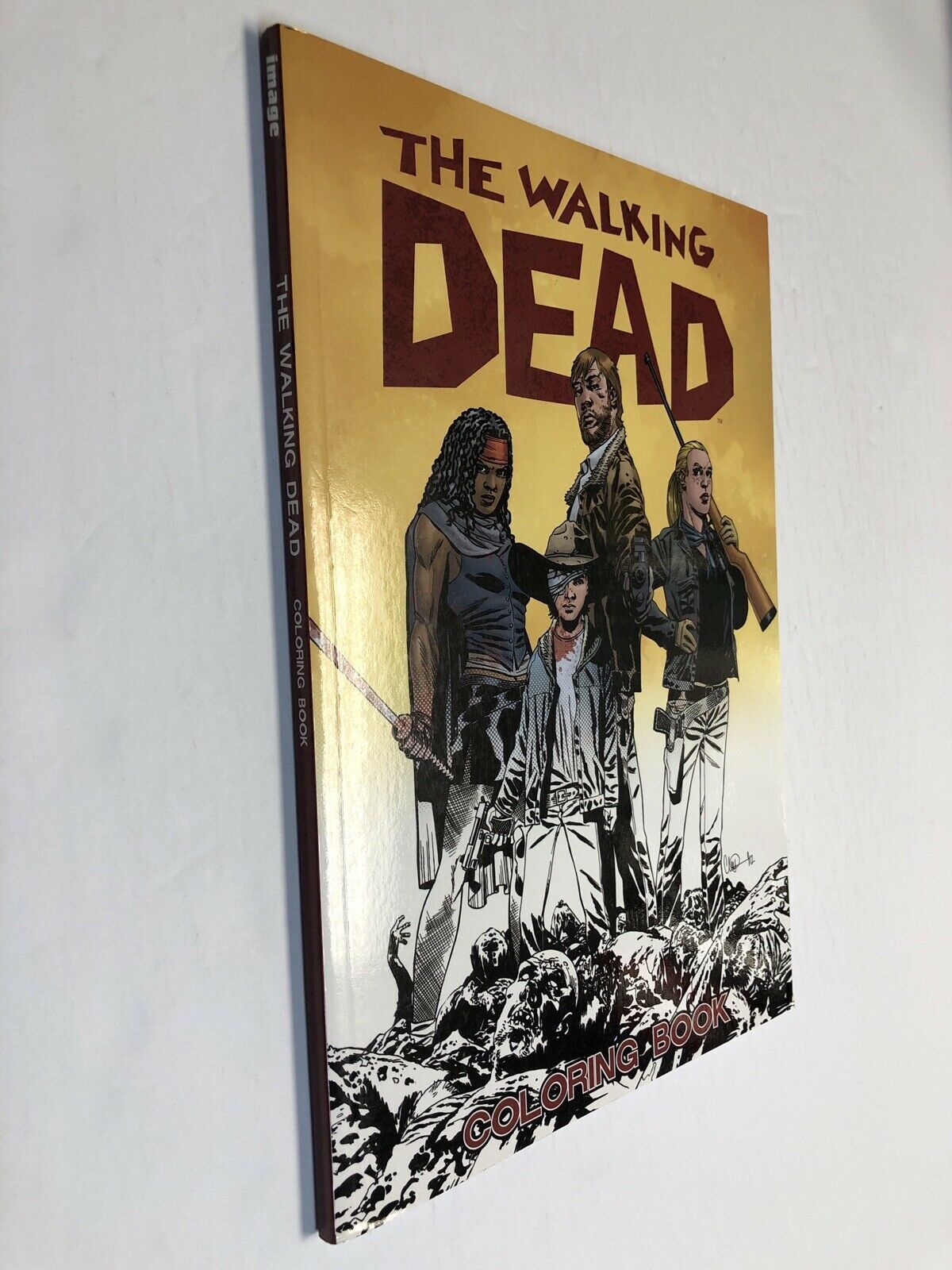 walking dead coloring book