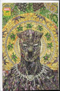 Black Panther #25 Cassara Cover (2021)