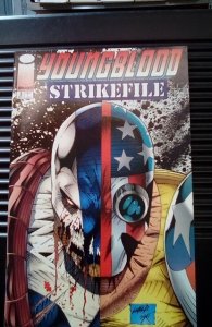Youngblood Strikefile #2 (1993)