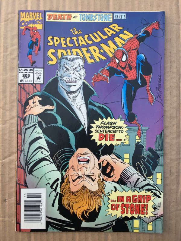 The Spectacular Spider-Man #205 (1993)