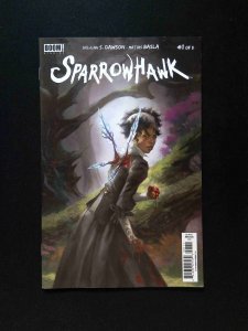 Sparrowhawk #1  BOOM STUDIOS Comics 2018 VF+