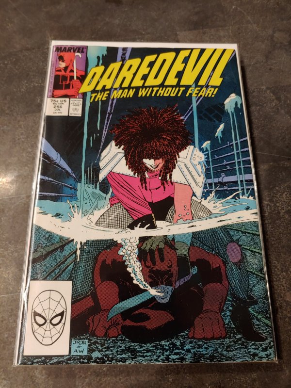 Daredevil #256 (1988)