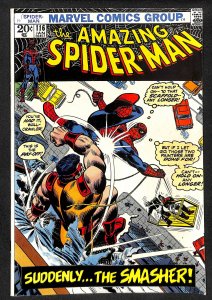 The Amazing Spider-Man #116 (1973)