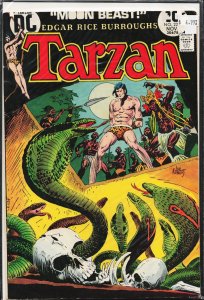Edgar Rice Burroughs' Tarzan #225 (1973)