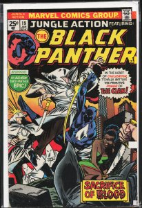 Jungle Action #19 (1976) Black Panther