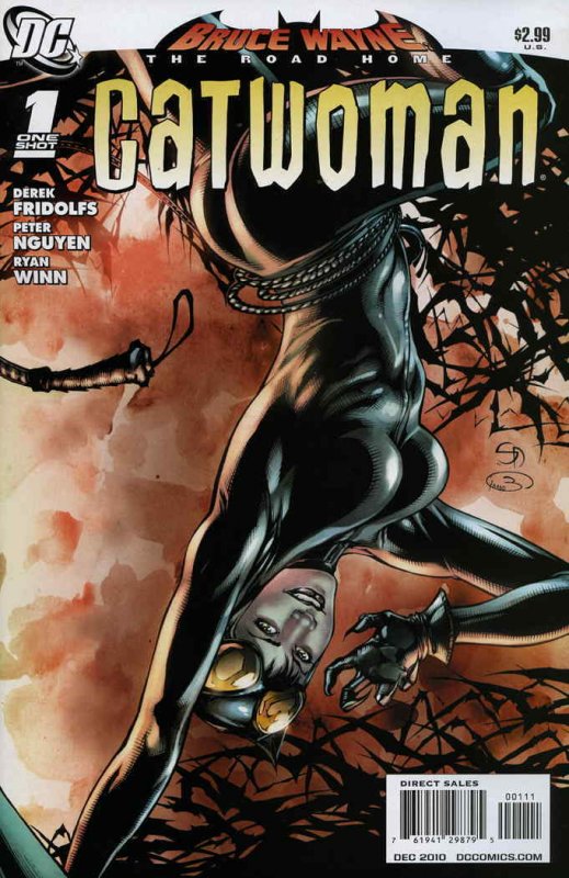 Bruce Wayne: The Road Home: Catwoman #1 VF; DC | save on shipping - details insi