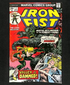 Iron Fist #2