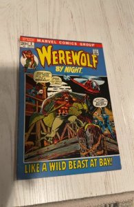 Werewolf by Night #2 (1972) a wild beast at the bay!