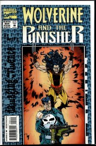 Wolverine and the Punisher: Damaging Evidence #2 (1993) Punisher