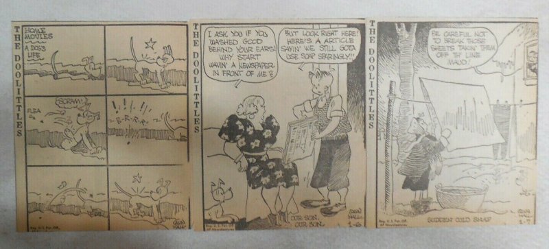 (300) The Doolittles Dailies by Quin Hall from 1947 Size 4 x 5 inches AP Strip