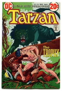 Tarzan 218 NM- 9.2 DC 1973 Uncertified 4764