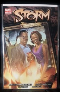 Storm #2 (2006)