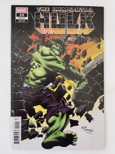Immortal Hulk  #25  -Variant -  NM (2019)