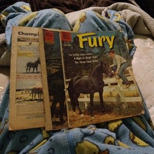 A Lot Of Three Horse Comics Fury Four Color 1031 V2 #1 Gene Autry's Champion 121