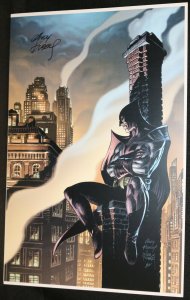 Nite Owl from Watchmen on Rooftop Print (EX) Signed by Andy Kubert 