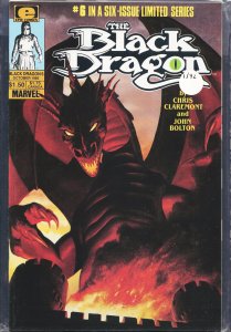 The Black Dragon #6 (1985) The Black Dragon