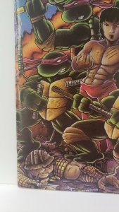 Teenage Mutant Ninja Turtles #18 Eastman & Laird Mirage Studios 1989