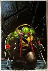?~IDW~?~TEENAGE MUTANT NINJA TURTLES #75~?~HUMBERTO RAMOS VIRGIN VARIANT~?