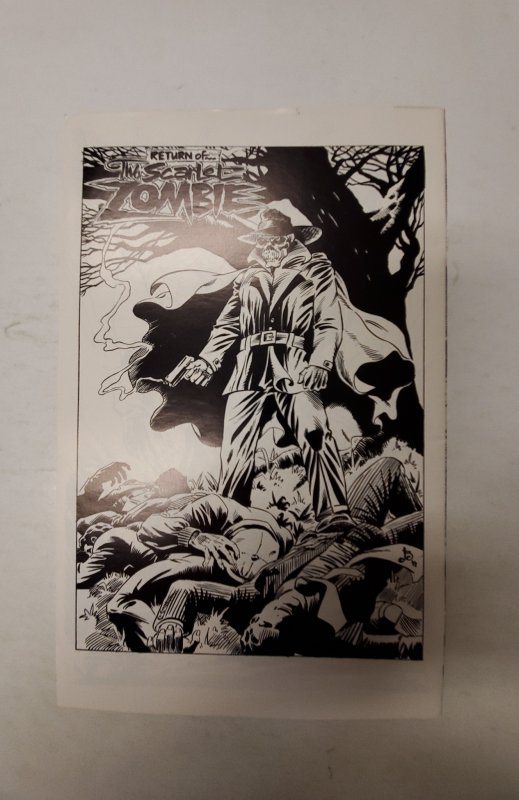 Pirate Queen #1 (1991) NM Comax Comic Book J691