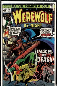 Werewolf by Night #36 (1976) Werewolf by Night