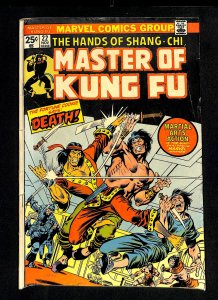 Master of Kung Fu #22