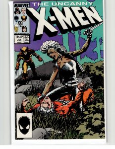 The Uncanny X-Men #216 (1987) X-Men