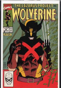 Wolverine #29 (1990) Wolverine