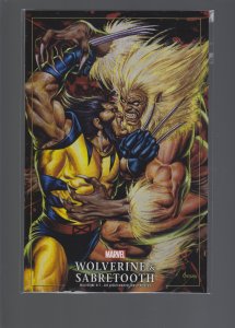 Wolverine #17 Variant