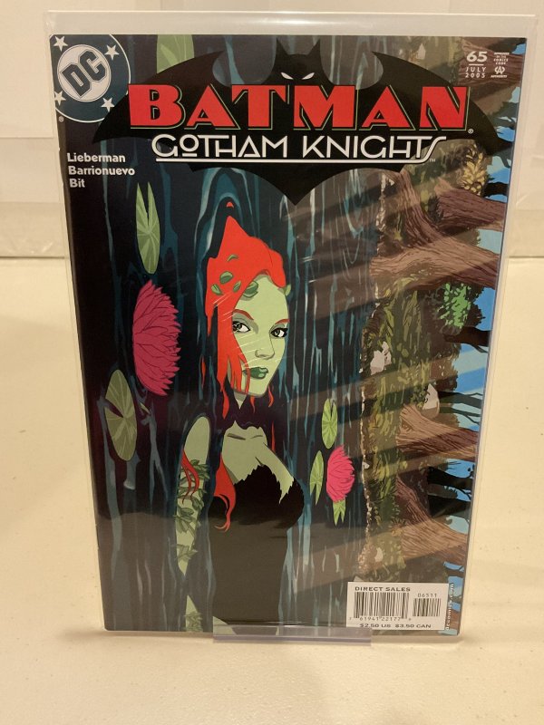 Batman: Gotham Knights #65  2005  9.0 (our highest grade)