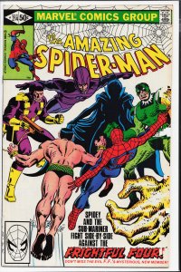 The Amazing Spider-Man #214 (1981) Spider-Man