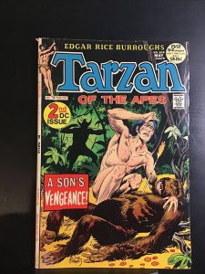 Tarzan of the Apes #208 DC Comics 1972 Bronze Age