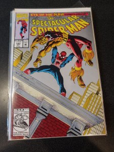 THE SPECTACULAR SPIDER-MAN #193