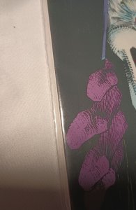 Batman Annual #16 (1992)