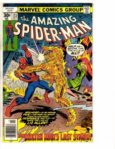 Amazing Spider-Man # 173 VF Marvel Comic Book Bronze Age Stan Lee Goblin J267