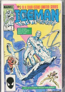 Iceman #1 Direct Edition (1984) Iceman