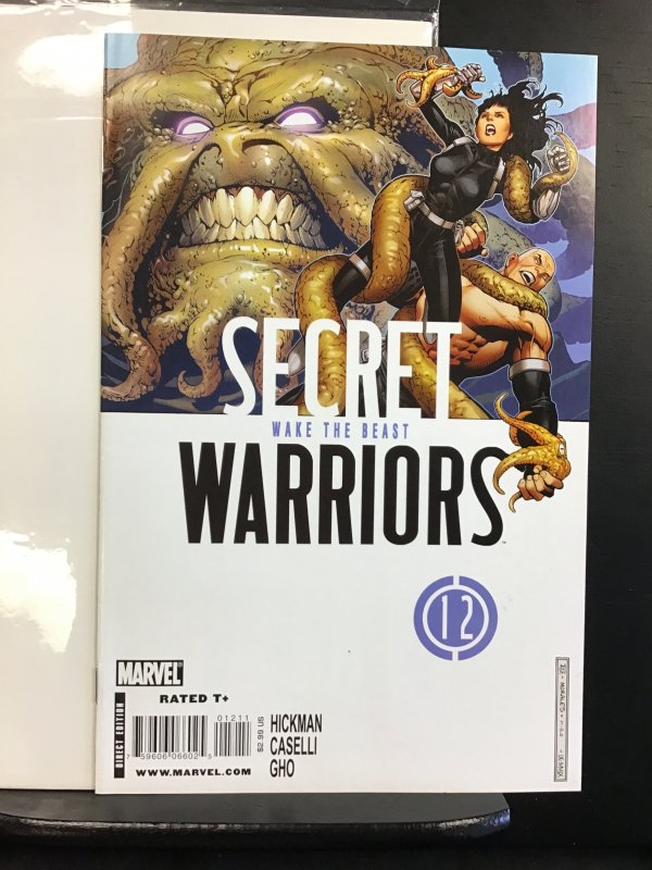 Secret Warriors #12 (2010) (VF+)