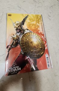 BLACK ADAM-THE JUSTICE SOCIETY FILES: HAWMAN VARIANT